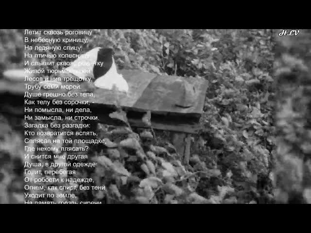 из кинофильма "Зеркало",  стихи "Эвридика"