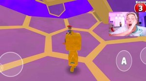 мир медведей