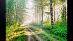 Я в весеннем лесу. Кавер версия. ИИ.