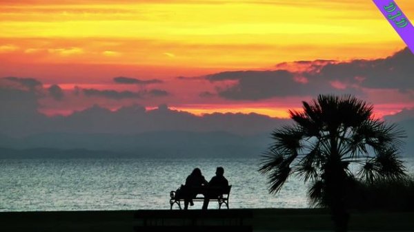 DJ.D - Это прекрасно