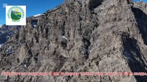 Беркут атаковал дрон в горах Кыргызстана — видео битвы