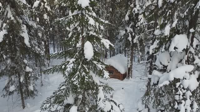 ТАЁЖНЫЕ БУДНИ. смотреть онлайн