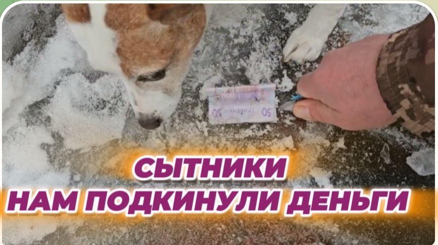 САМВЕЛ АДАМЯН, СЫТНИКИ, НАМ ПОДКИНУЛИ ДЕНЬГИ.. смотреть онлайн