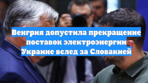 Венгрия допустила прекращение поставок электроэнергии Украине вслед за Словакией