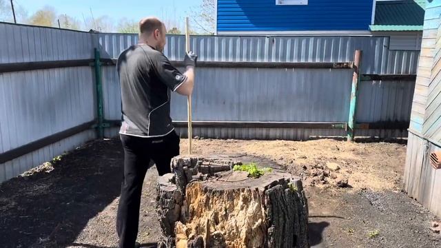 Купили маленькую дачу. Вычищаем территорию от мусора. Жарим шашлык на даче.