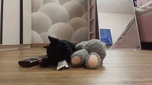 жизнь Яны 23 серия