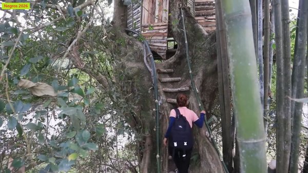 София 55. София строит бамбуковый домик для сторожа на берегу реки на дереве.