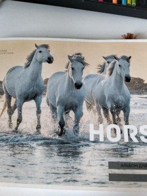 3Д игрушка и еë дом