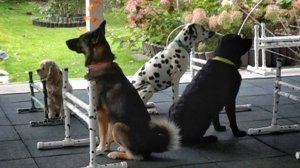 Урок с 2 стаями.