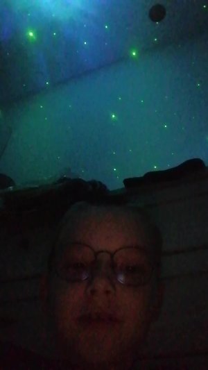 Стрим по терарии