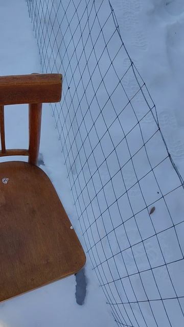 Февраль, 2026, ч.3