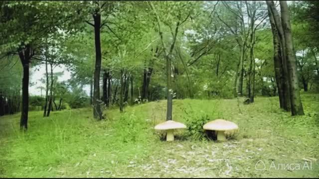 Оживление фотографии №157