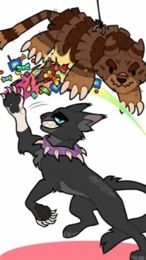 Мем коты воители:Огник VS Бич... И бич VS звездоцап