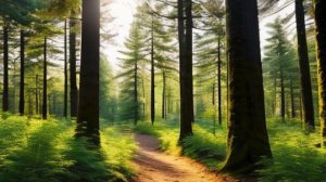 Звук природы. Пение Синицы длиннохвостой в лесу