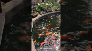 Duangjitt Resort & Spa отель, Тайланд, Пхукет, Патонг, ноябрь 2025 г., прогулка по территории отеля