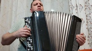 Старый клен