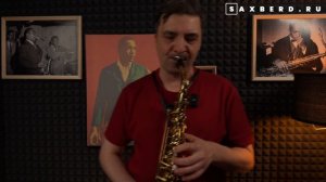 Mr.Credo - Чудная долина (sax cover)