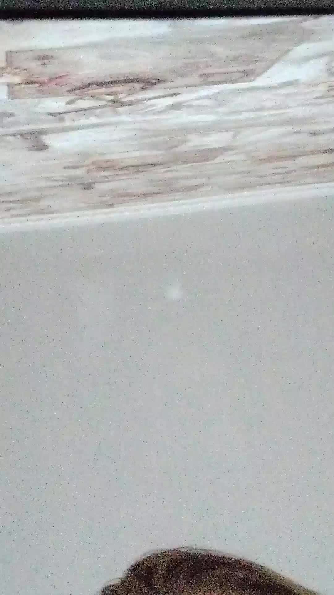 пр смотреть онлайн