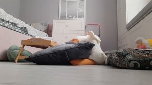 снешка в школе !