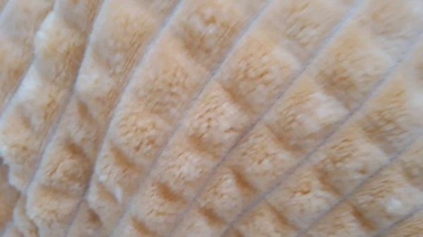 Секрет Басиков ( Какой? 🤣❤️👀?????)