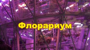 Интересные места в Москве Флорариум в парке Зарядье Влог