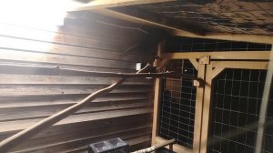 Ворон Гриша 1 декабря, с праздником