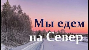 Судьба блогеров. 11.02.26.