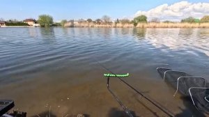 Рыбалка на карася, проверяю дикарь, тут рыба есть !