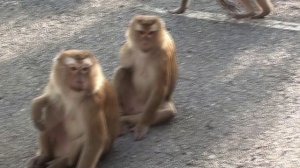 Пхукет 2026. Путешествие в Тайланд.