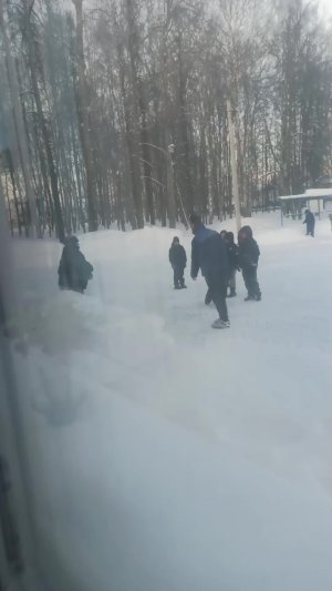 по др р дл та