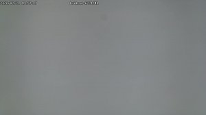 LIVE: channel43489494