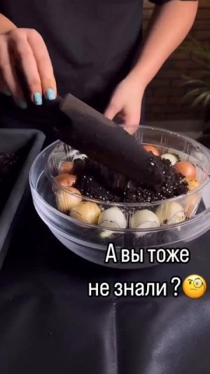 Выращиваем лук на перо