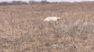 Федора. 21.02.26