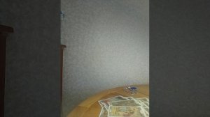 Сосредоточьтесь на важном!Карты все расскажут сами!