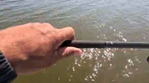 Рыбалка на сазана тут обитает крупная рыба