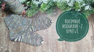 ✨Мой первый отчет в СП "Носочное Изобилие-2" ✨Тема: "Цветочная поляна" ✨Участник 19✨