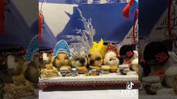 355809981631bc1cafd60e2d1ae7af48.mp4