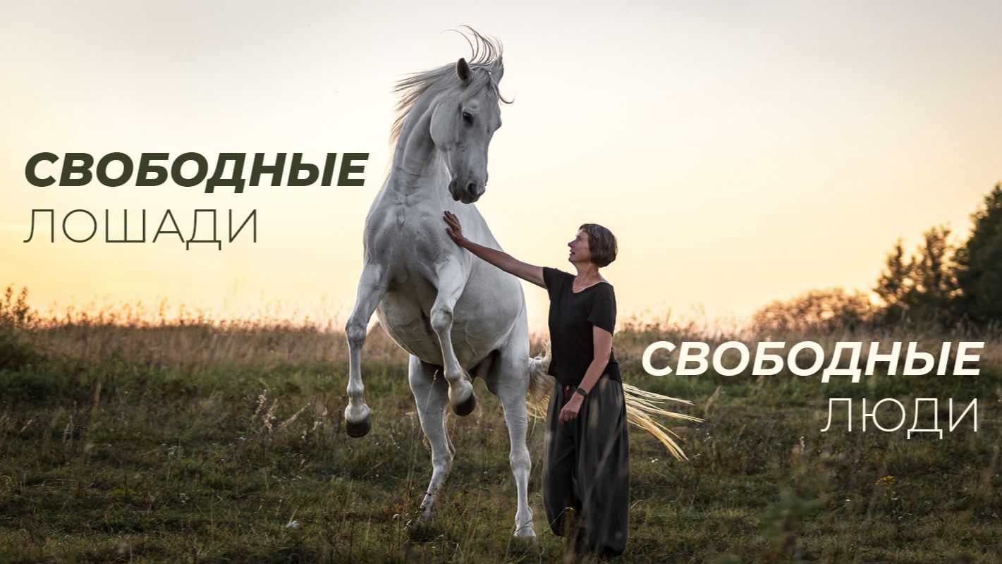 Инна Дитман. История создания Школы Свободных Лошадей