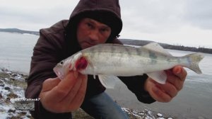 Такая рыбалка.