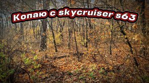 Любые монетки радуют на копе. Skycruiser s63.