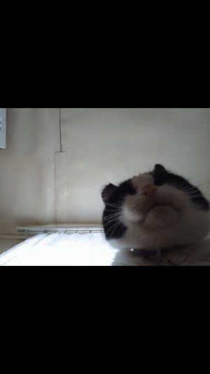 а ну-ка давай-ка