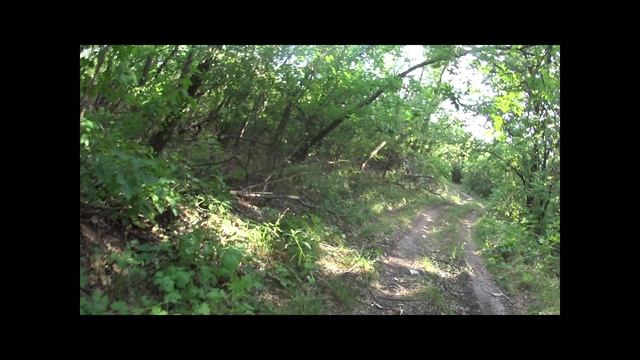 №221. Вело-этап: великолепная Петровская Лука, ночёвка, 7 августа.