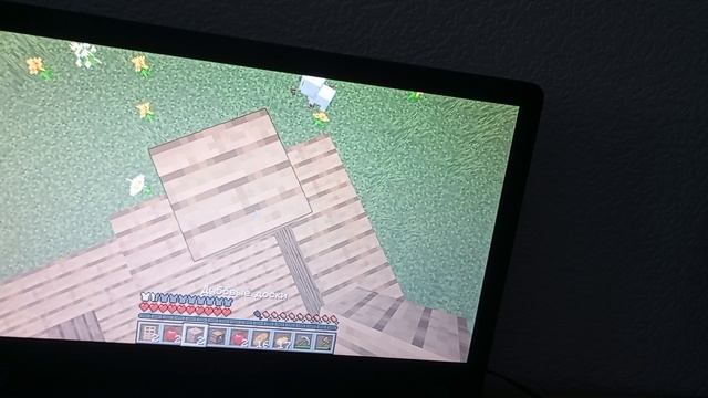 играю в мире