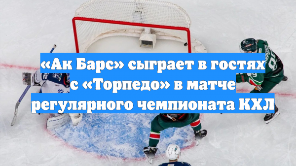 «Ак Барс» сыграет в гостях с «Торпедо» в матче регулярного чемпионата КХЛ