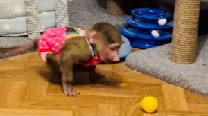 Посмотрите какие Маня и Степа КРАСАВЧИКИ в комбинезончиках, ВЕЧЕР УДАЛСЯ)))