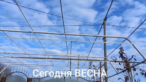 21-02-2026 Как будто кремлевскую елку везут/У меня пахнет летом/ Сколько стоит кабачок