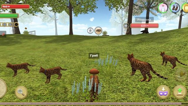 симулятор Cat