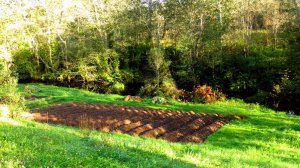 Река, огород, небо, птицы...