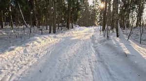 Продолжаем свою разведку на фэтбайке Аляска 3.0 в заснеженном лесу в Талаево.Зимний лес шикарен.