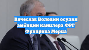 Вячеслав Володин осудил амбиции канцлера ФРГ Фридриха Мерца